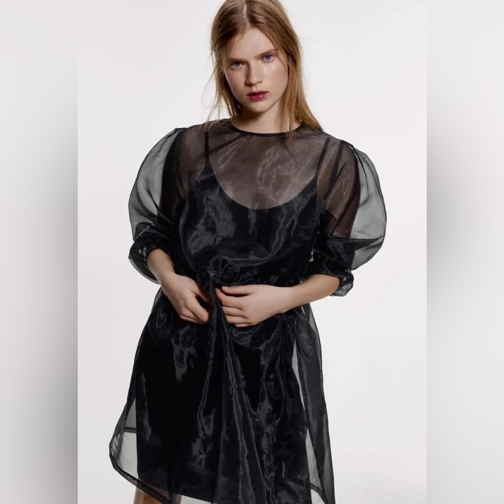 Zara Black Sheer Mini Dress